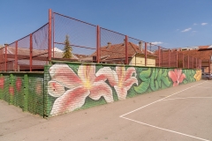 novisad-022